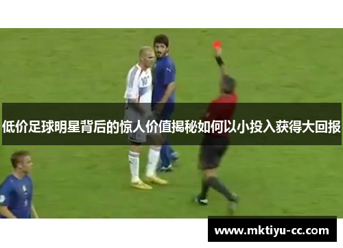 低价足球明星背后的惊人价值揭秘如何以小投入获得大回报