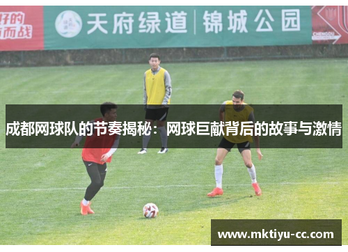 成都网球队的节奏揭秘：网球巨献背后的故事与激情